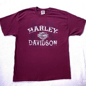 2010s Y2K Harley Davidson Motorcycles  Men's SZ XL Biker TShirt